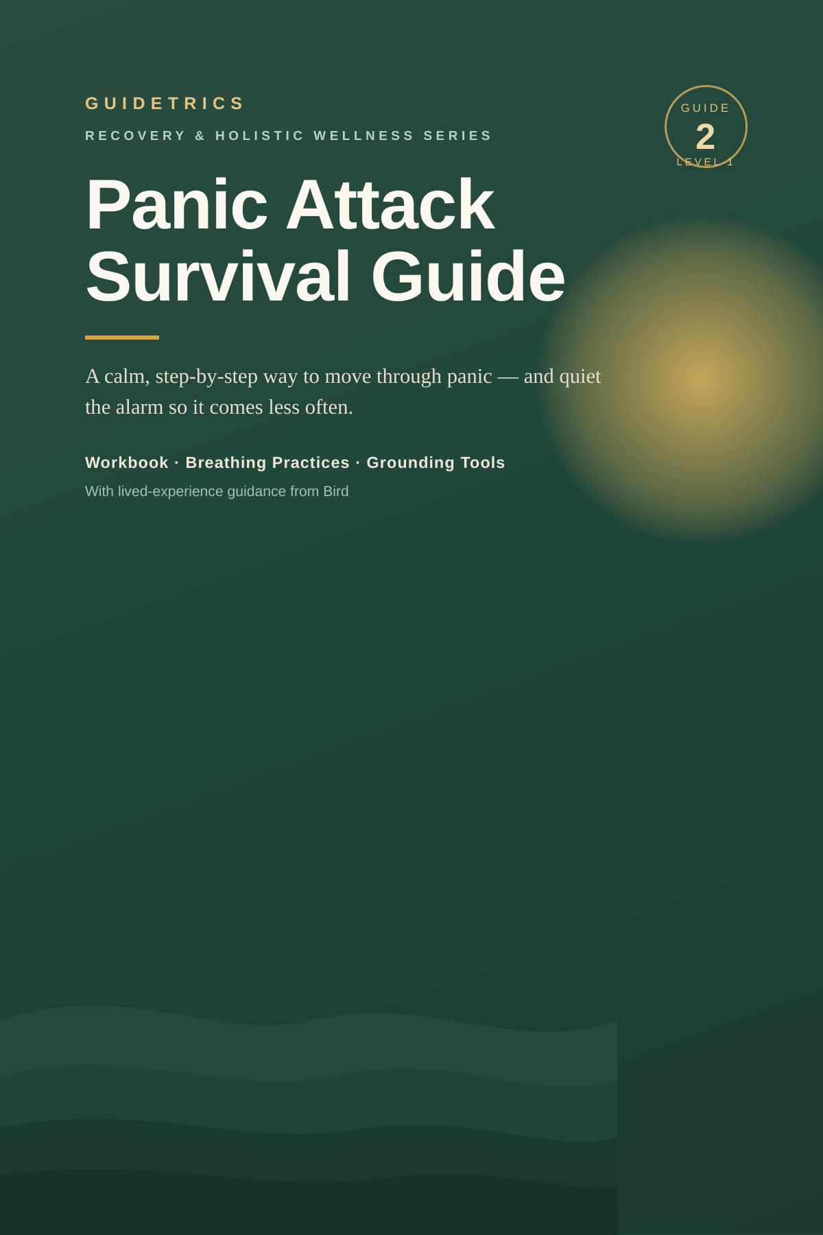 Panic Attack Survival Guide — A Calm, Step-by-Step Way to Move Through Panic
