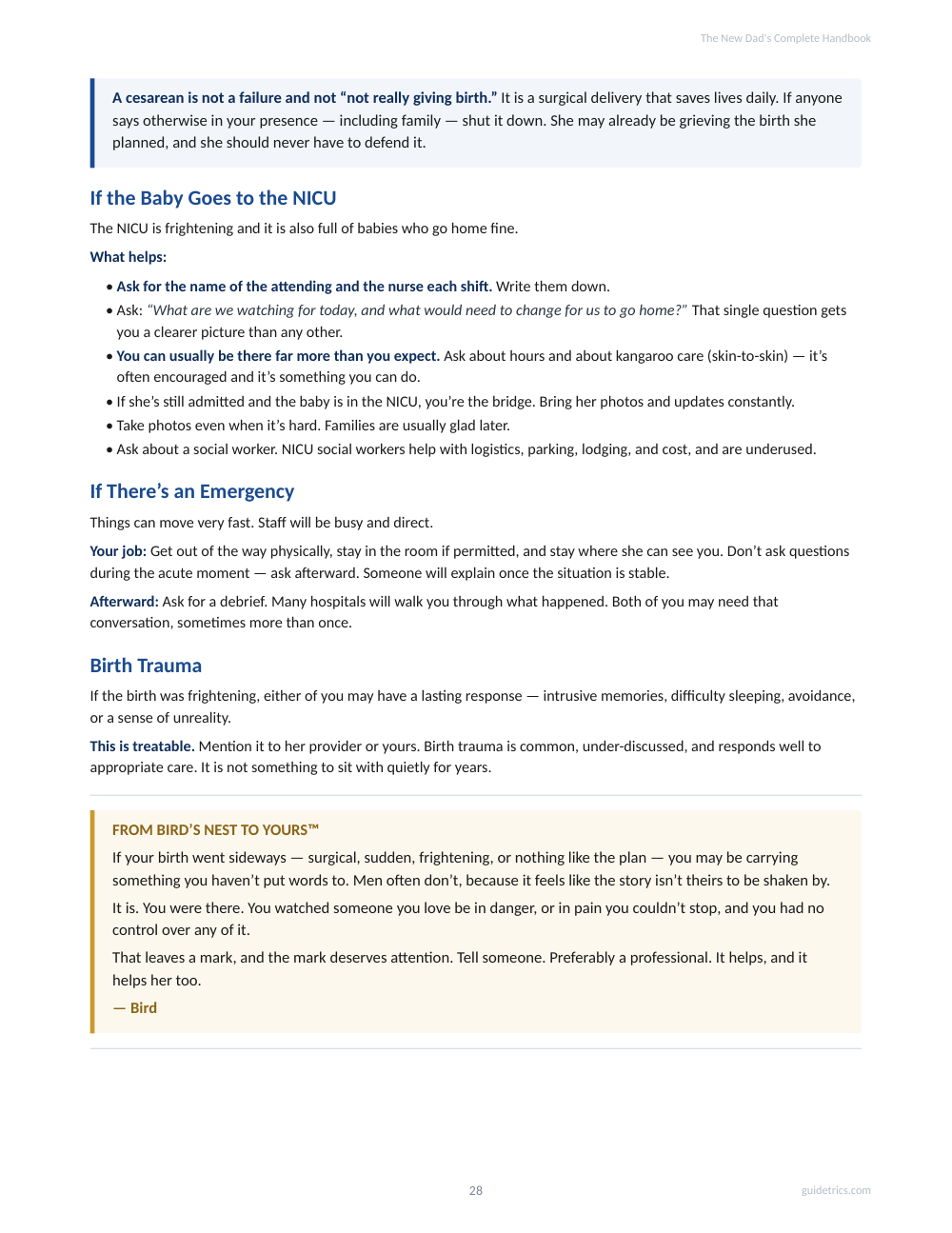 The New Dad's Complete Handbook — Pregnancy Through Your Baby's First Birthday
