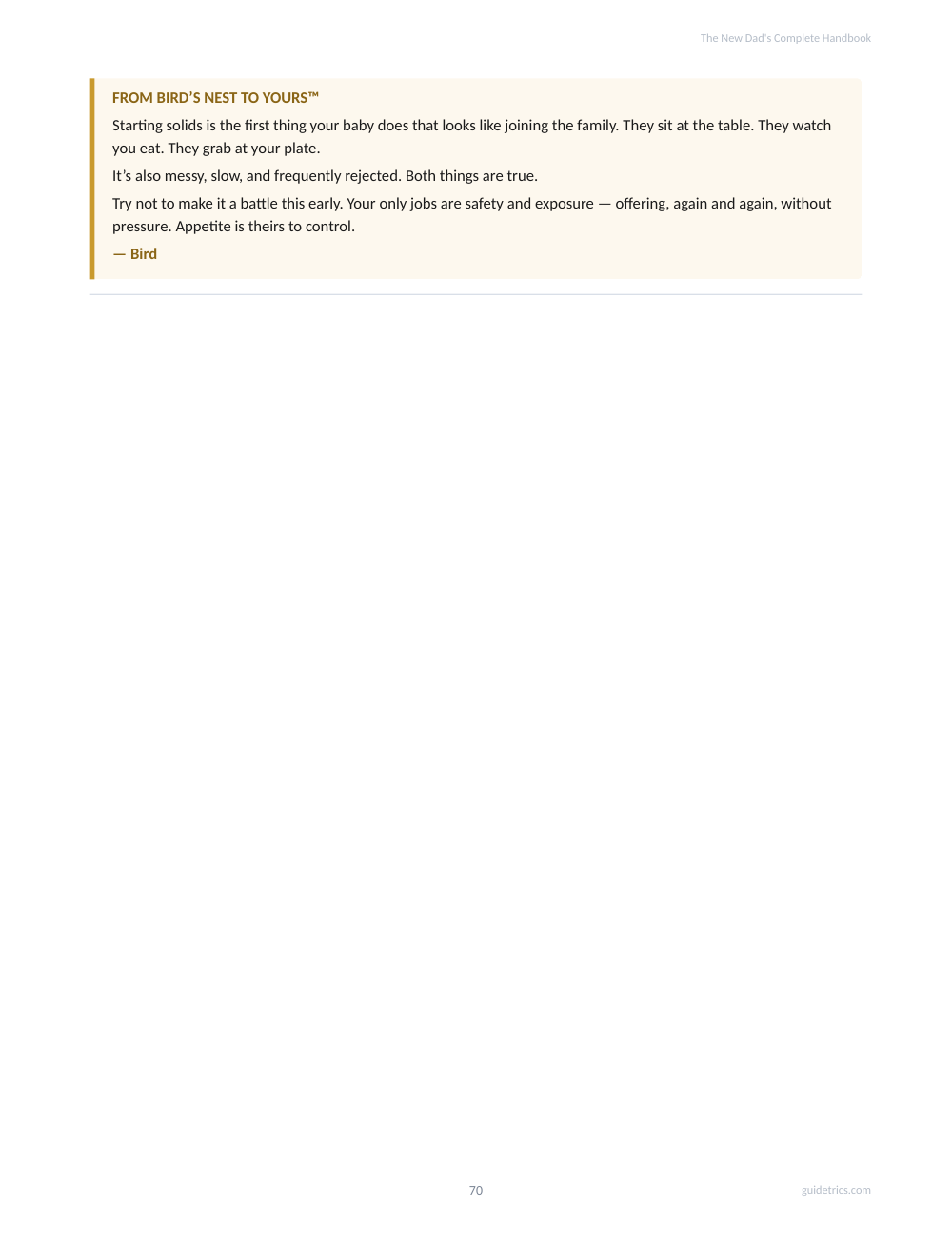 The New Dad's Complete Handbook — Pregnancy Through Your Baby's First Birthday