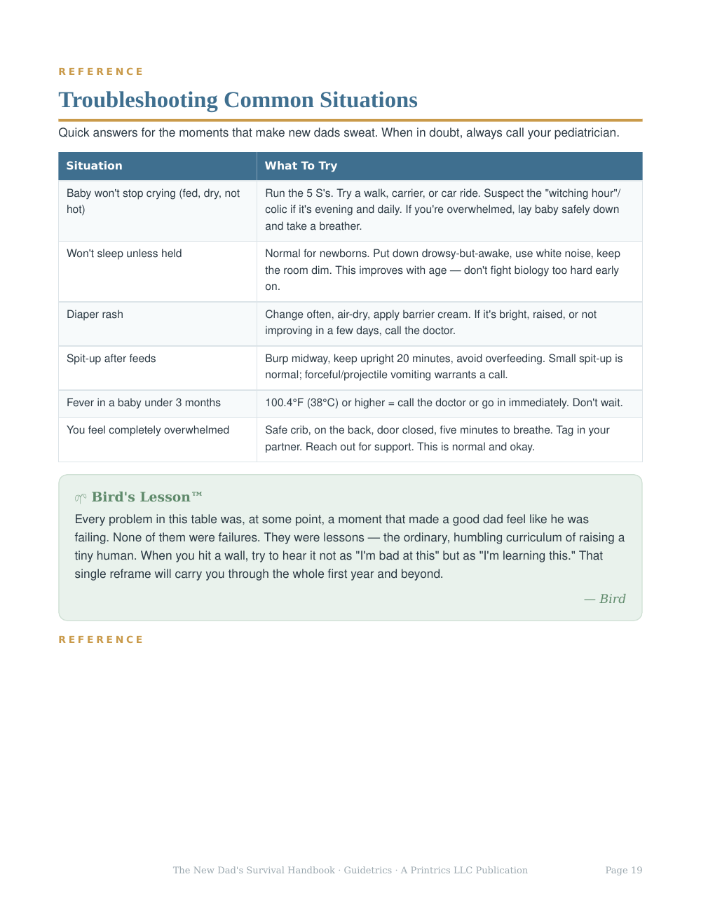 The New Dad's Survival QuickStart — The Essentials, in 26 Pages