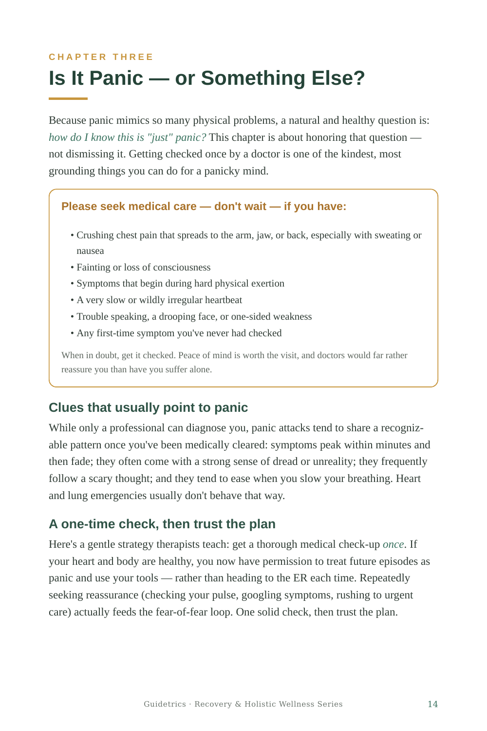 Panic Attack Survival Guide — A Calm, Step-by-Step Way to Move Through Panic