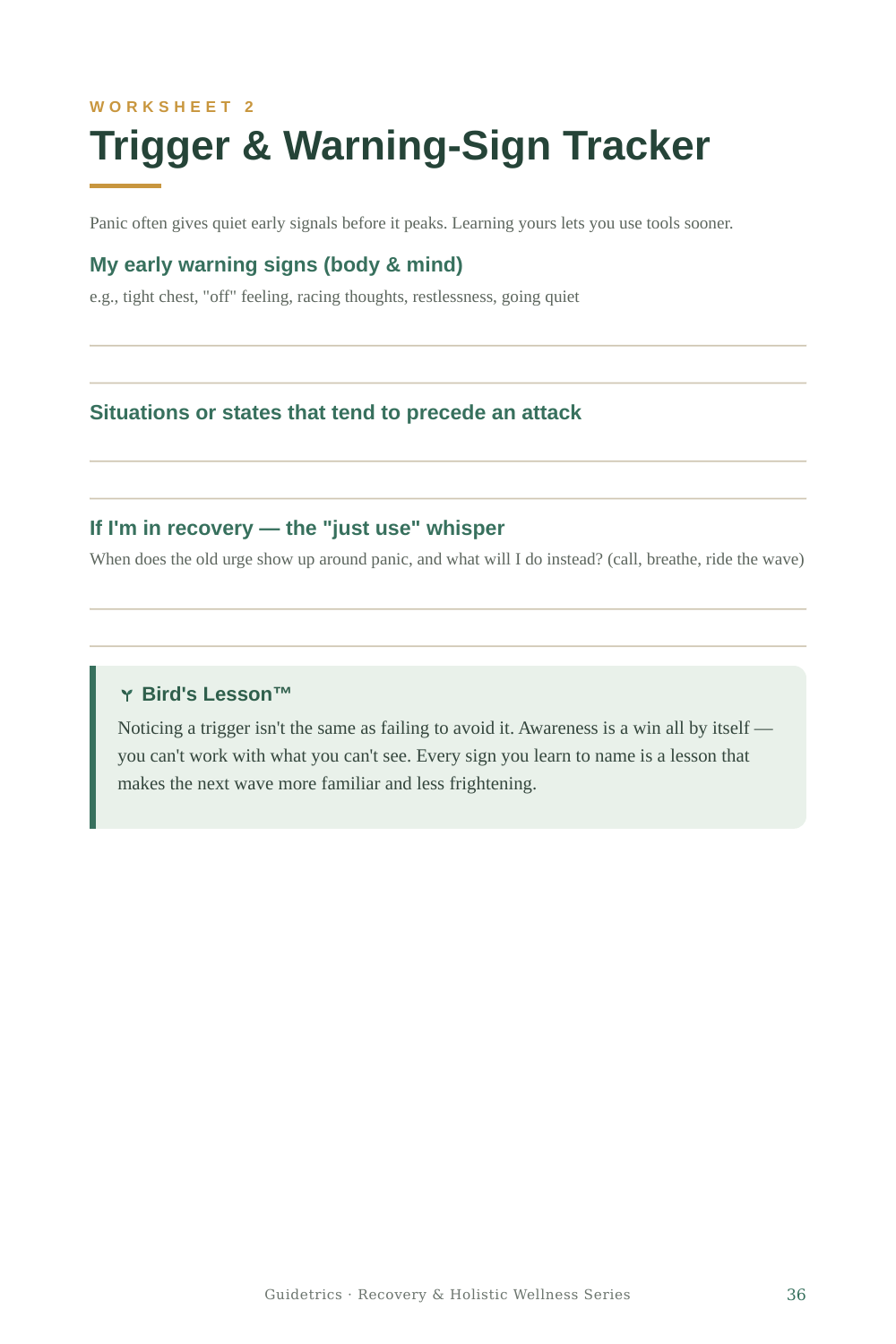 Panic Attack Survival Guide — A Calm, Step-by-Step Way to Move Through Panic