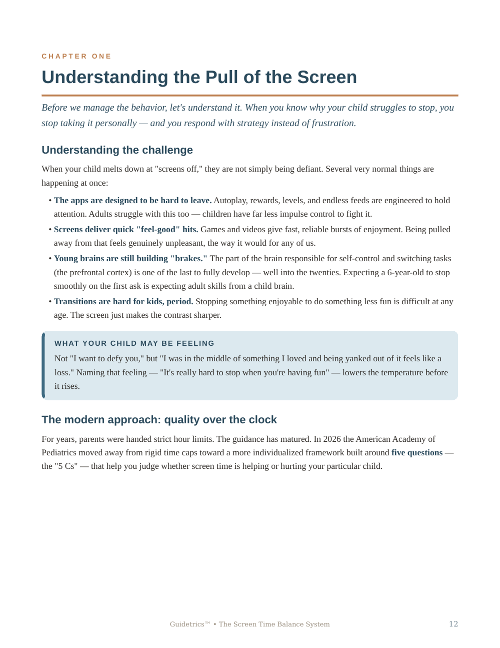 The Screen Time Balance System
