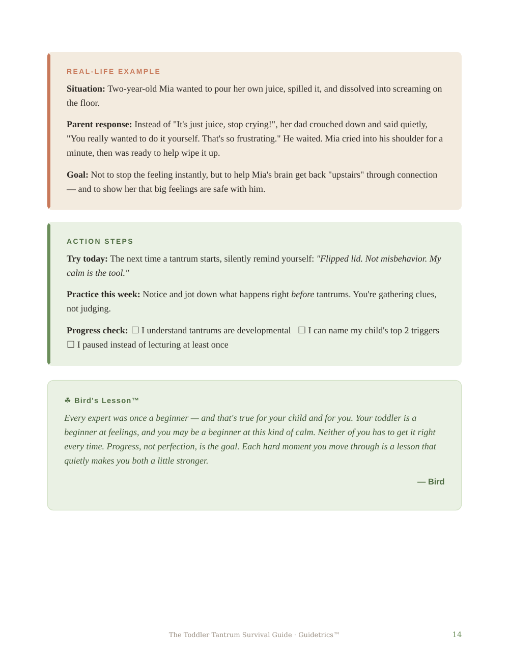 The Toddler Tantrum Survival Guide